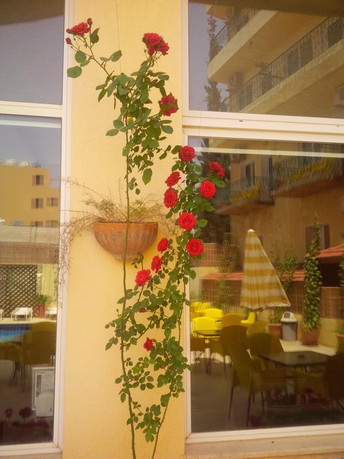 Mariam Hotel Madaba Exterior photo